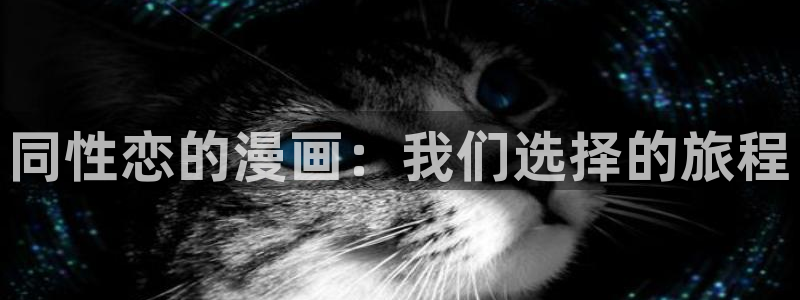 啪啪羞羞漫画：同性恋的漫画：我们选择的旅程